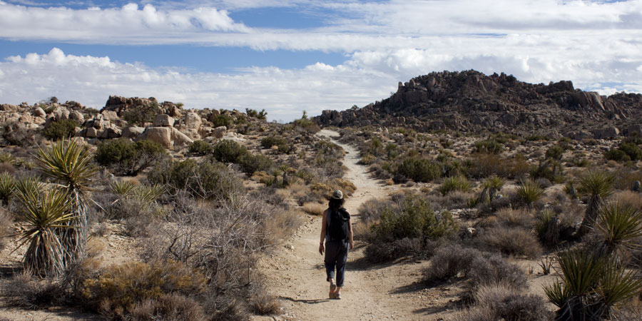 Hiking to Overlook